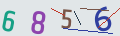 verifycode